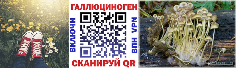 Галлюциногенные грибы прущие грибы  что такое   Александровское 